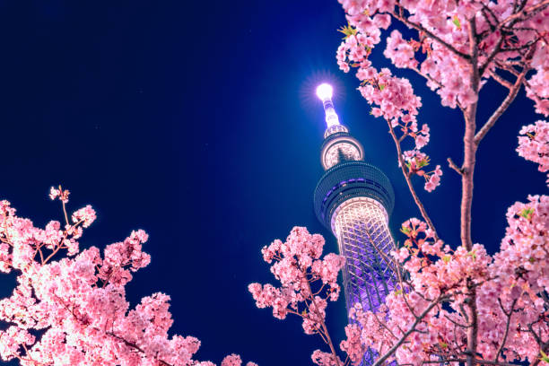 Asakusa Senso-ji temple at twilight